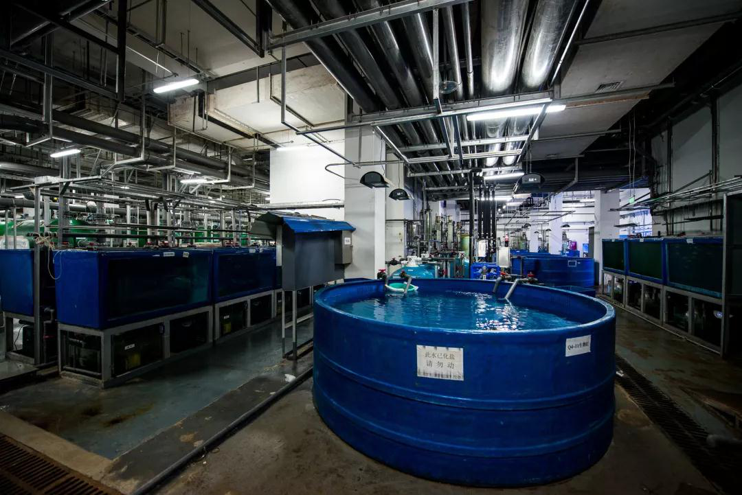 蠕(ru)動泵用(yong)于克服(fu)三種廢(fei)水問題(ti)